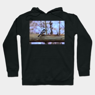 On the fence illustration. Hoodie